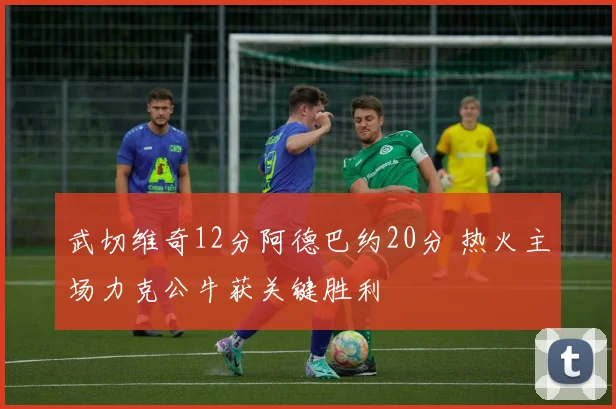武切维奇12分阿德巴约20分 热火主场力克公牛获关键胜利